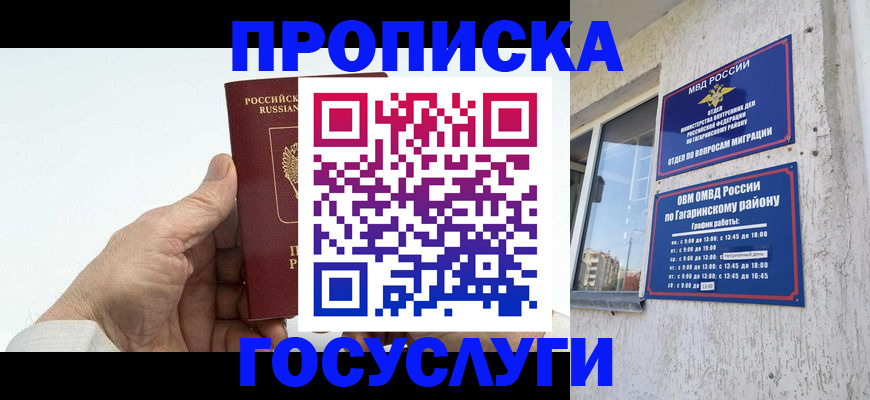 временная регистрация надежно в Димитровграде